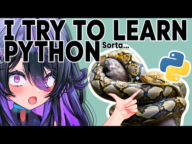 Vtuber learns programming...
