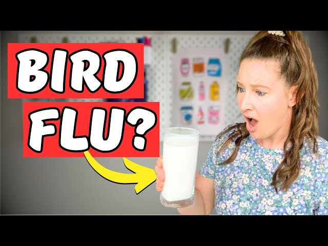 Raw Milk's Surprising Connection to Bird Flu!