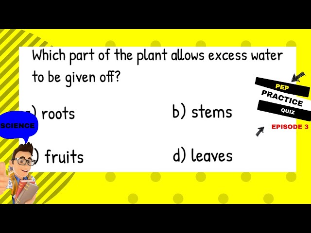 Grade 6 Science Test Questions with Answers| Study Bites Episode 3