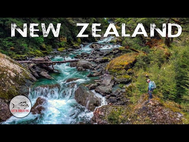 Fly Fishing for HUGE NEW ZEALAND Rainbow and Brown TROUT -  Backcountry New Zealand