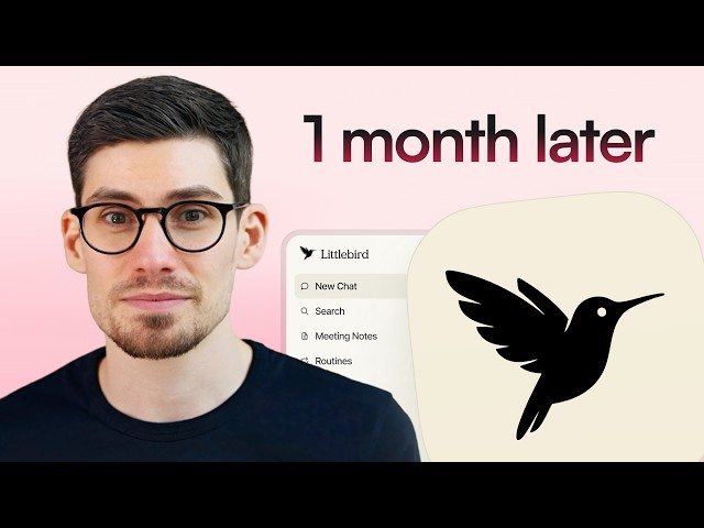 Littlebird Gave Me Perfect Memory. 1 month review. *not sponsored*