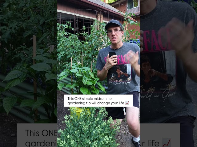 This ONE Thing Will Make or Break Your Vegetable Garden 🌱🍅