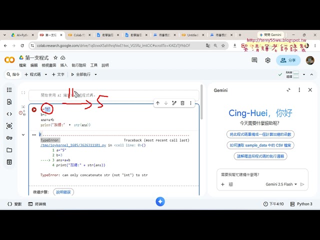 03 Enabling GEMINI and Data Type Conversion Functions