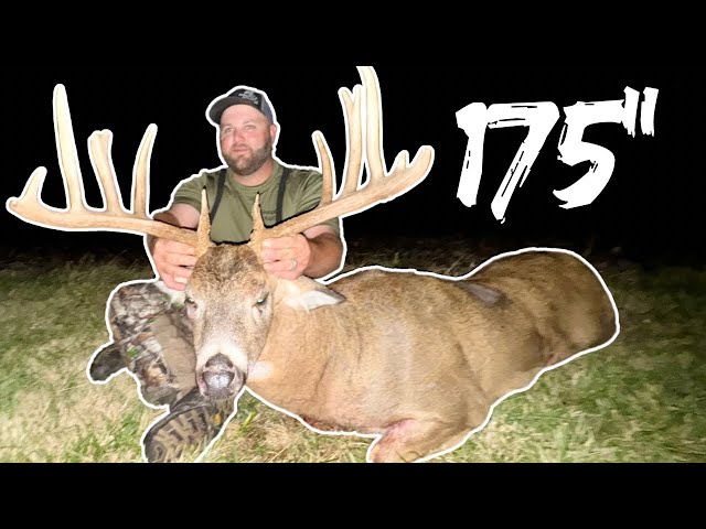 175” MONSTER WHITETAIL BUCK With A BOW! *INSANE WHITETAIL RUT FOOTAGE*