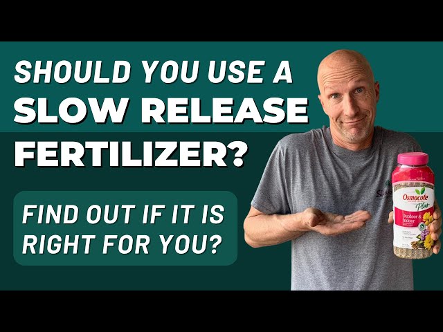 Should You Use a Slow Release Fertilizer like Osmocote? What About Soil With Fertilizer In It?