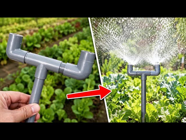 Why Buy an Irrigation System? I Made One for Almost Nothing!