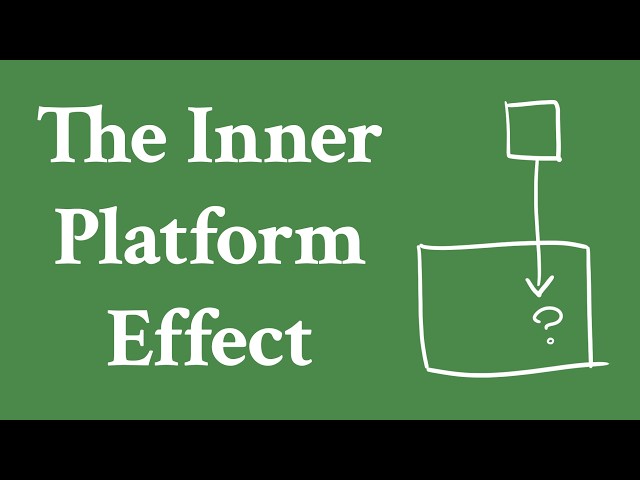 Software's Inner Platform Effect, or, Why you Might Be Hurting Yourself