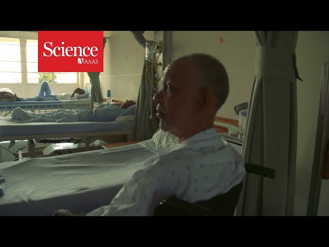 Taking on resistant TB