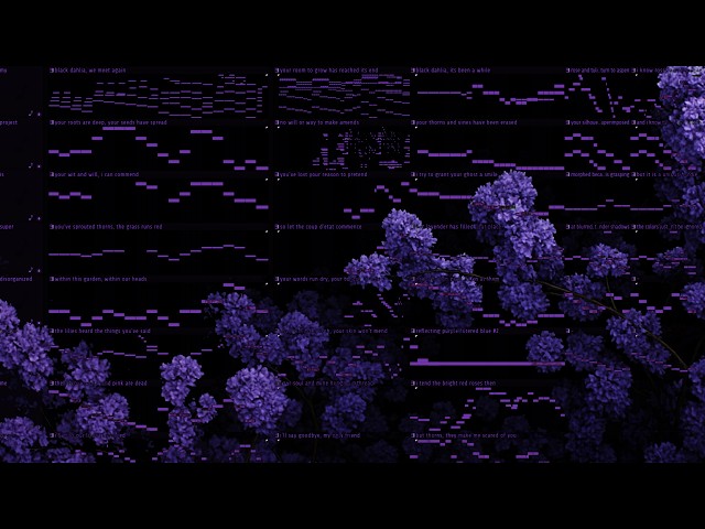 LAVENDER