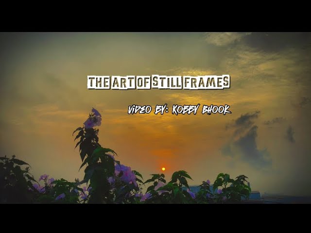 The Art of Still Frames |🎥🍿🎬 A short cinematic video #cinematic #capcutedit #filmmaking 