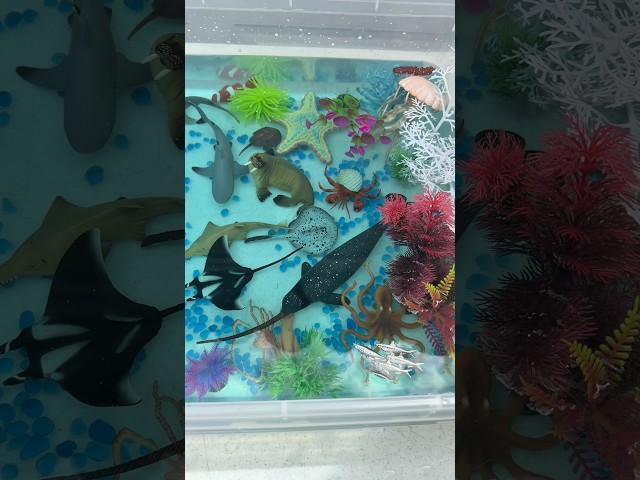 I created an Ocean at home   #shorts #shortvideo #short