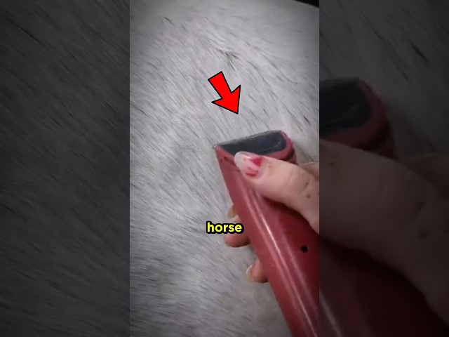 #core