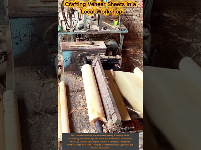 How Wood Veneer is Made: Industrial Rotary Peeling Machine In Action!