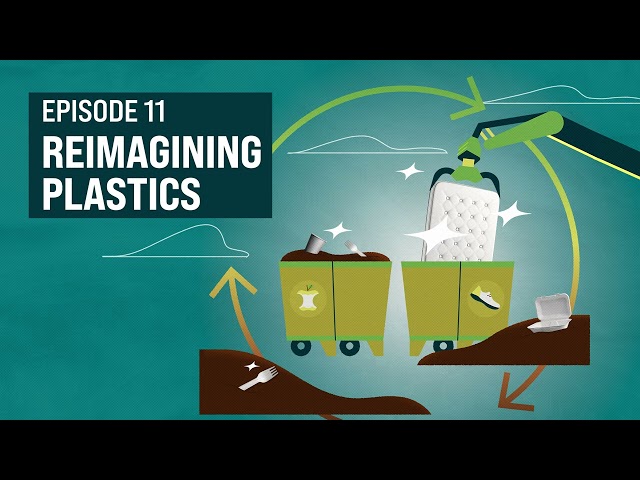 A Day in the Half-Life: Reimagining Plastics