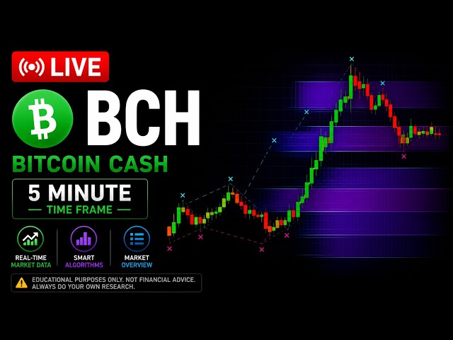 BCH Bitcoin Cash Live Market Monitor