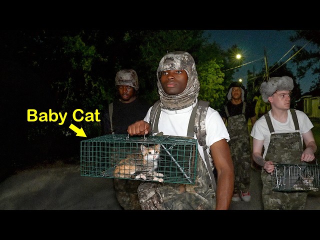 Saving an Abandoned Family of Cats From Death..