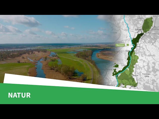 Geheimnisse des Nationalparks Unteres Odertals – Naturwunder an der Grenze