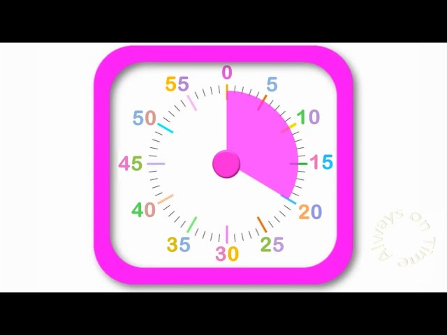 20 Minute Visual Timer