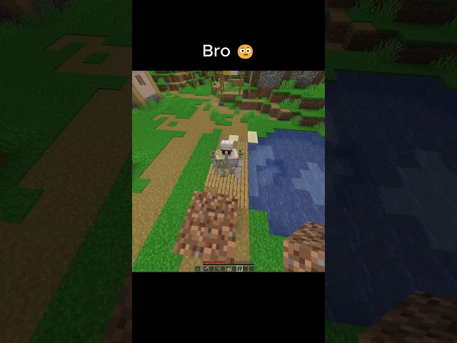 MINECRAFT GOLEM MOMENT 💀