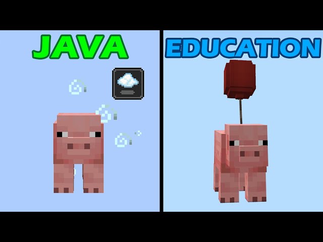 java vs education