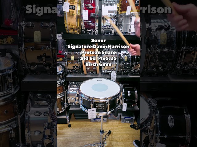 Which signature snare do you prefer? 🥁 #shorts #drums #drumming