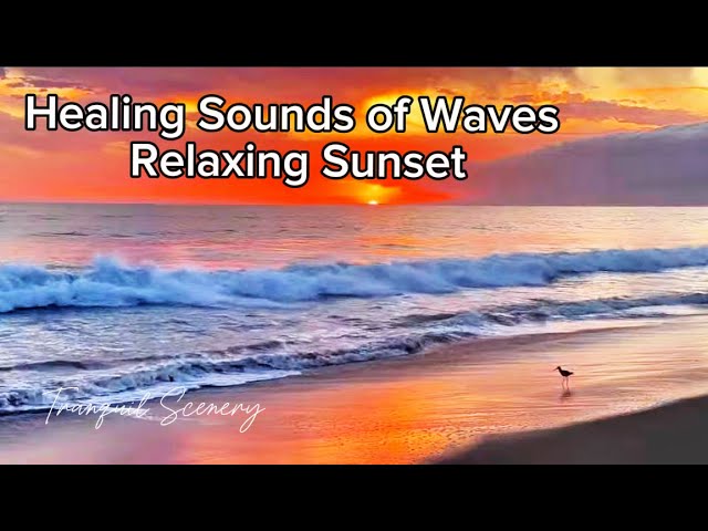 Instant Relaxation: Healing Sounds of Ocean Waves 🌊Coastal Sunsets - Wild Birds Beach Scenes in 4K