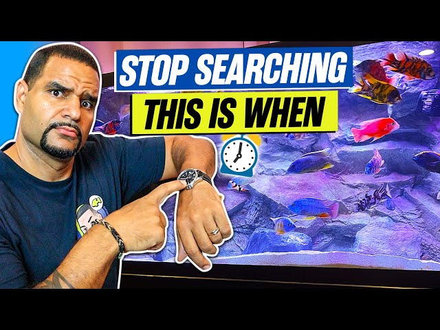 When To Water Change An Aquarium – (No, It Doesn’t Depend)
