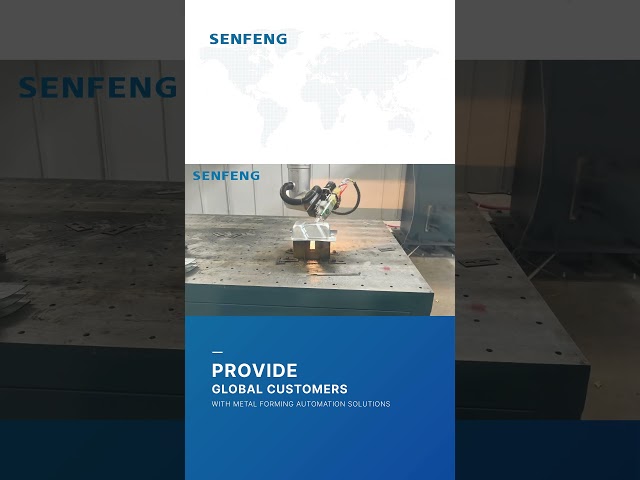 3D 5-Axis Laser Cutter | Real Cutting Process at Customer Site