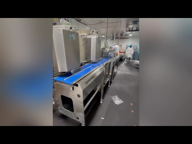 Bizerba Label Applicator for food labeling and weigh processing #7331