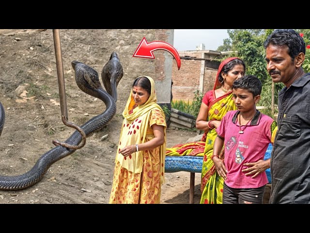You have never seen such a unique and dangerous snake before // Indian spectacled cobra snake res...