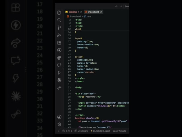 “CAN JAVASCRIPT REVEAL A HIDDEN PASSWORD?! 👀🔐”