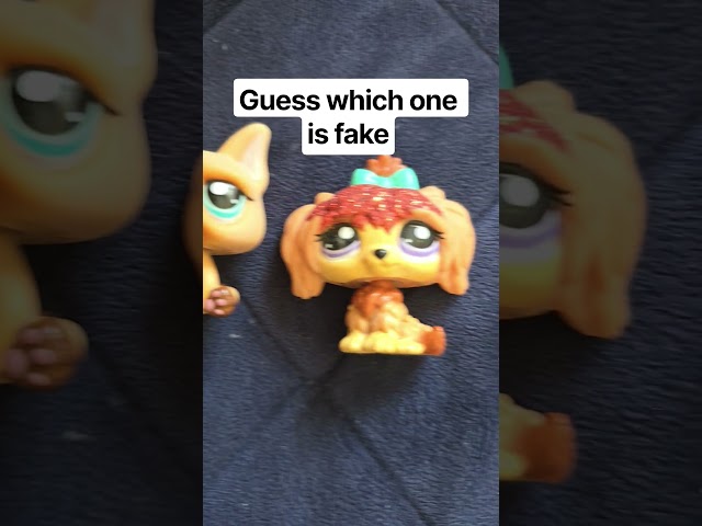 Guess which LPS is fake #lps #fake #fakevsoriginal