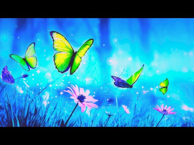 Beautiful Relaxing Music. Peaceful Music for Stress Relief, Healing Therapy, Sleep [Re Upload]