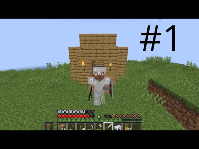 Minecraft survival #1 