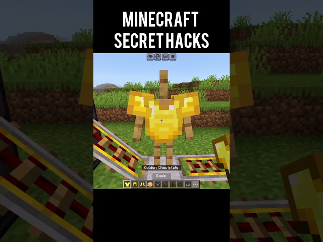 Minecraft secret Hacks#minecraft#shorts