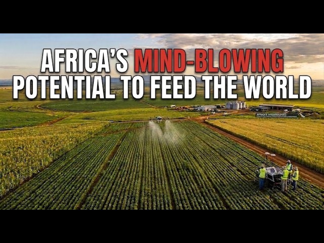 Africa's Mind-Blowing Potential to Feed the World