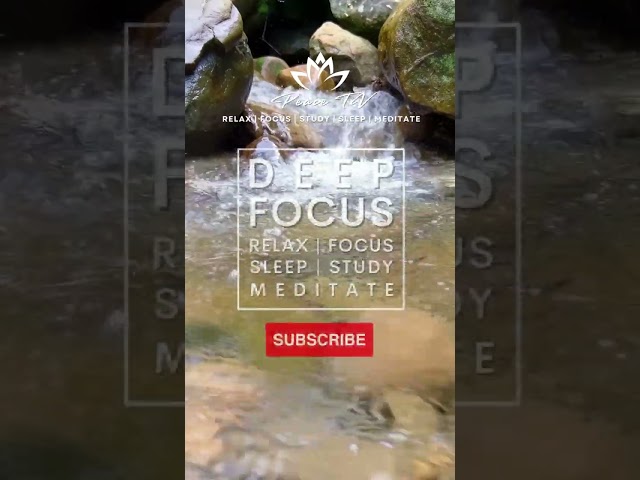 Sleep Study Meditate #flutemeditation