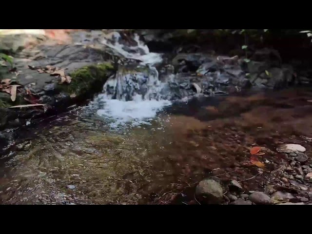 Relaxing Piano Music – Healing Vibes & River Flow for Sleep, Meditation and Inner Balance