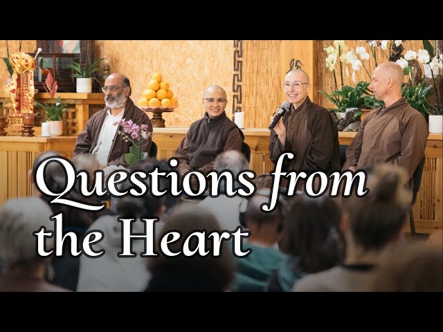 Anger, Despair, Shame and Meaningful Questions in Our Meditation | A Plum Village Q&A session