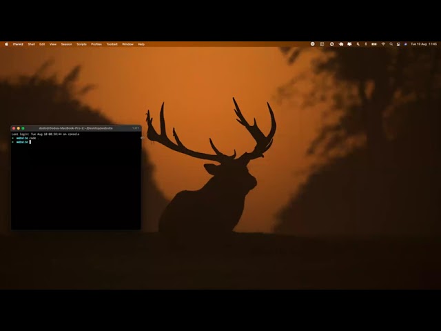 HTML/CSS: Layout, Semantics and Git