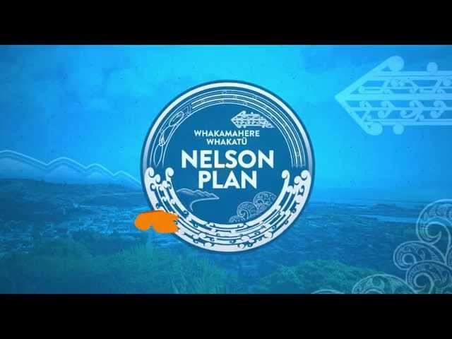 Nelson Plan - Let us know how to grow