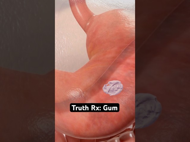 Does Gum Stay in Your Stomach for 7 Years?