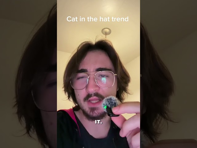 I turned the cat in the hat trend into a horror movie..