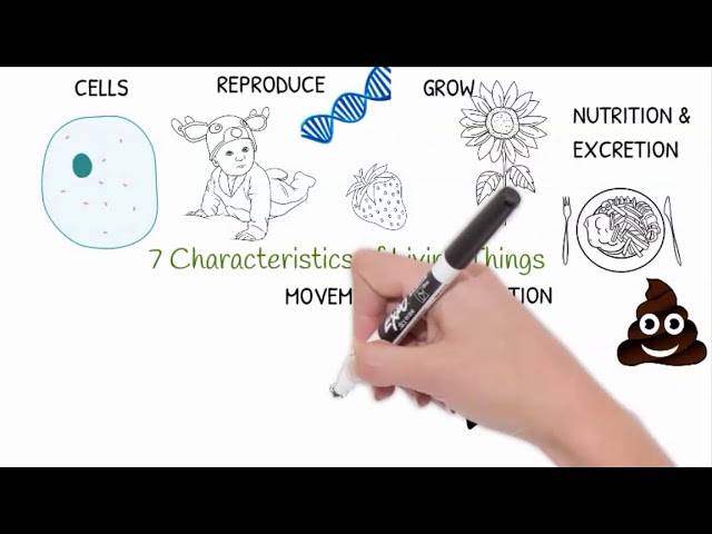 7 characteristics of living things