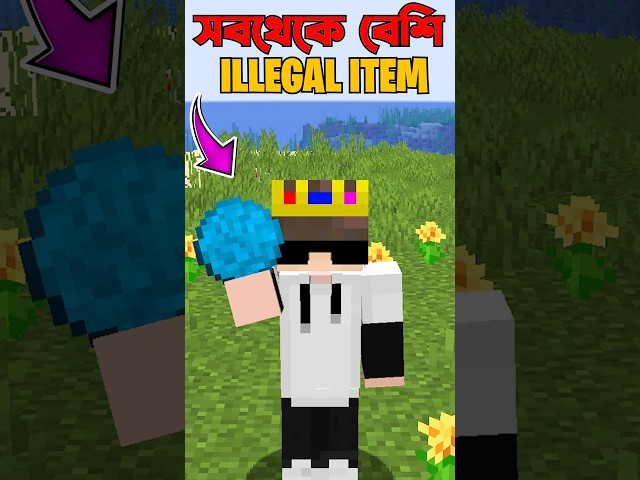 Minecraft Best Illegal Item #minecraft