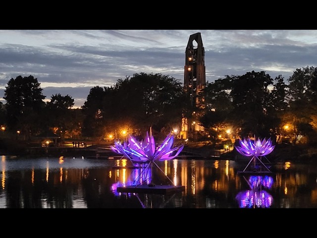 LOTUS lights up Naperville’s Paddleboat Quarry