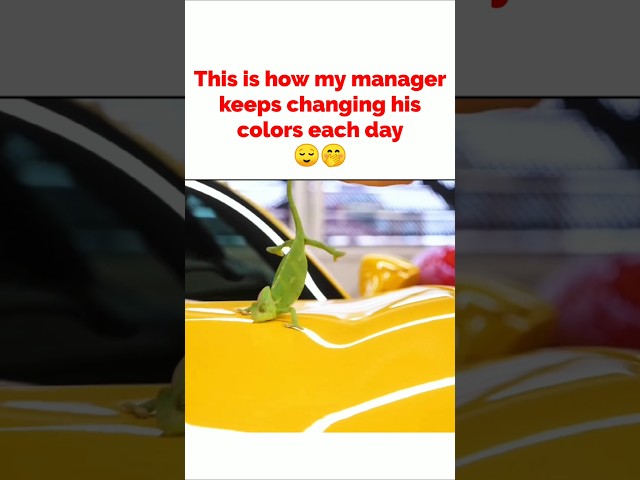 My manager changing his colors each day be like😅😳🥺#clientes #corporatememes #shorts #short #manager