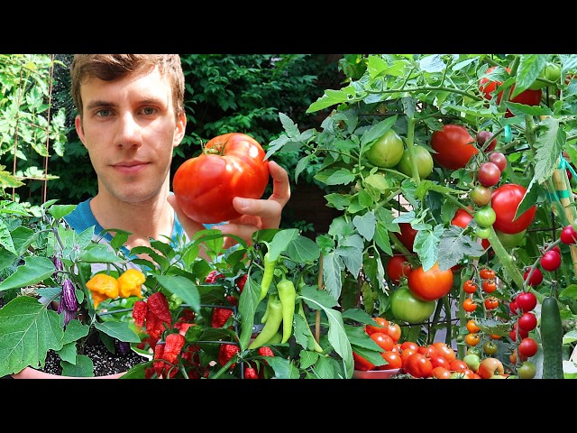 How Much Food Can You Grow In a Small Front Yard? | Garden Harvest Compilation