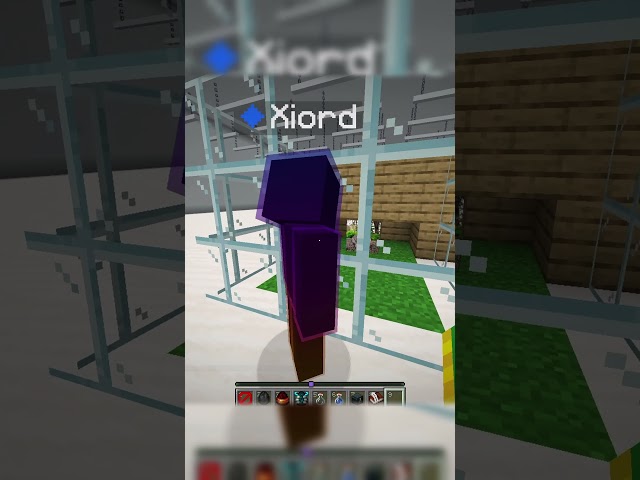 The Worst Walmart In Minecraft History