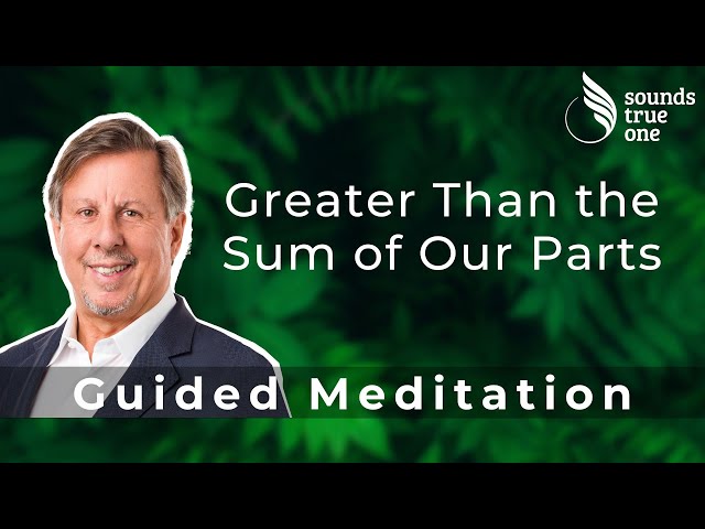 Take a Moment with Richard C. Schwartz, PhD | Greater Than the Sum of Our Parts
